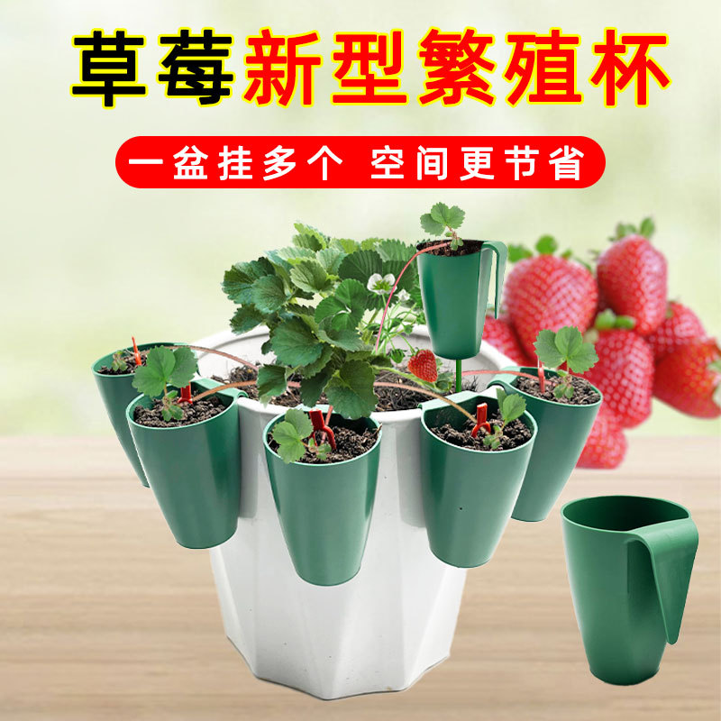 Strawberry Planting Seedling Box, Seedling Transplanter, Seedling Tray, Strawberry Creeping Stem Rooting Pot, Balcony Strawberry Planting Cup