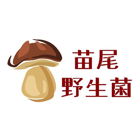 苗尾野生菌