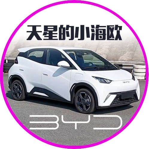 海鸥天星改装的LOGO