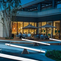 Outdoor luminous colorful seesaw Internet celebrity solar mall park square amusement display large Shanxi