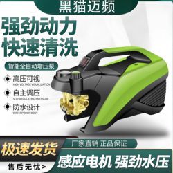 Mai frequency car washing machine commercial For Home 220V water spray pump high power visual water pressure household portable car washing