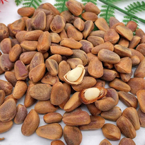 New Heilongjiang fresh raw pine nuts large particles Northeastern red pine nuts unopened original unprocessed raw pine nuts