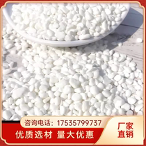 Chongqing Baishizi white stone white gravel white stone white gravel landscaping courtyard paving terrazzo fish tank