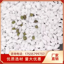 Wuhan Baishizi white stone white gravel natural small white stone white pebbles Yuhua stone succulent paving stone
