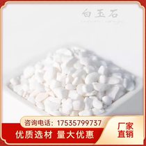 Liaoning Baishizi white stone white gravel natural white stone micro landscape pebbles rain flower stone succulents