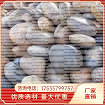 Hebei river pebbles river beach stone transformer station river pebbles garden park paving courtyard villa landscaping pebbles
