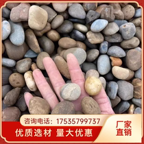 Wuhan river pebbles river beach stones transformer station river pebbles garden park paving courtyard villa landscaping pebbles