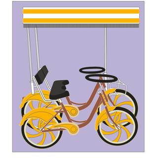 热销奥威特观光车遮阳棚双人加高棚顶篷布四人车印制蓬布车棚单色