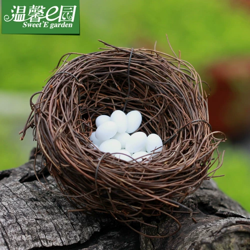 Образцы могут быть обработаны для изготовления орнаментов микроландшафта из мха, счастливых птичьих гнезд, птичьих яиц, ландшафтных украшений своими руками, аксессуаров и ювелирных изделий.