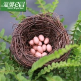 Образцы могут быть обработаны для изготовления орнаментов микроландшафта из мха, счастливых птичьих гнезд, птичьих яиц, ландшафтных украшений своими руками, аксессуаров и ювелирных изделий.