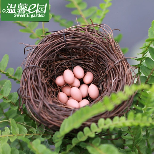 Образцы могут быть обработаны для изготовления орнаментов микроландшафта из мха, счастливых птичьих гнезд, птичьих яиц, ландшафтных украшений своими руками, аксессуаров и ювелирных изделий.