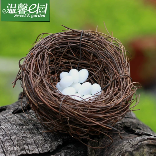 Образцы могут быть обработаны для изготовления орнаментов микроландшафта из мха, счастливых птичьих гнезд, птичьих яиц, ландшафтных украшений своими руками, аксессуаров и ювелирных изделий.