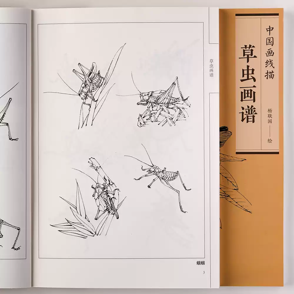 百猫画谱中国画线描白描家畜动物图集零基础绘画动物白描底稿, image size:1000x1000