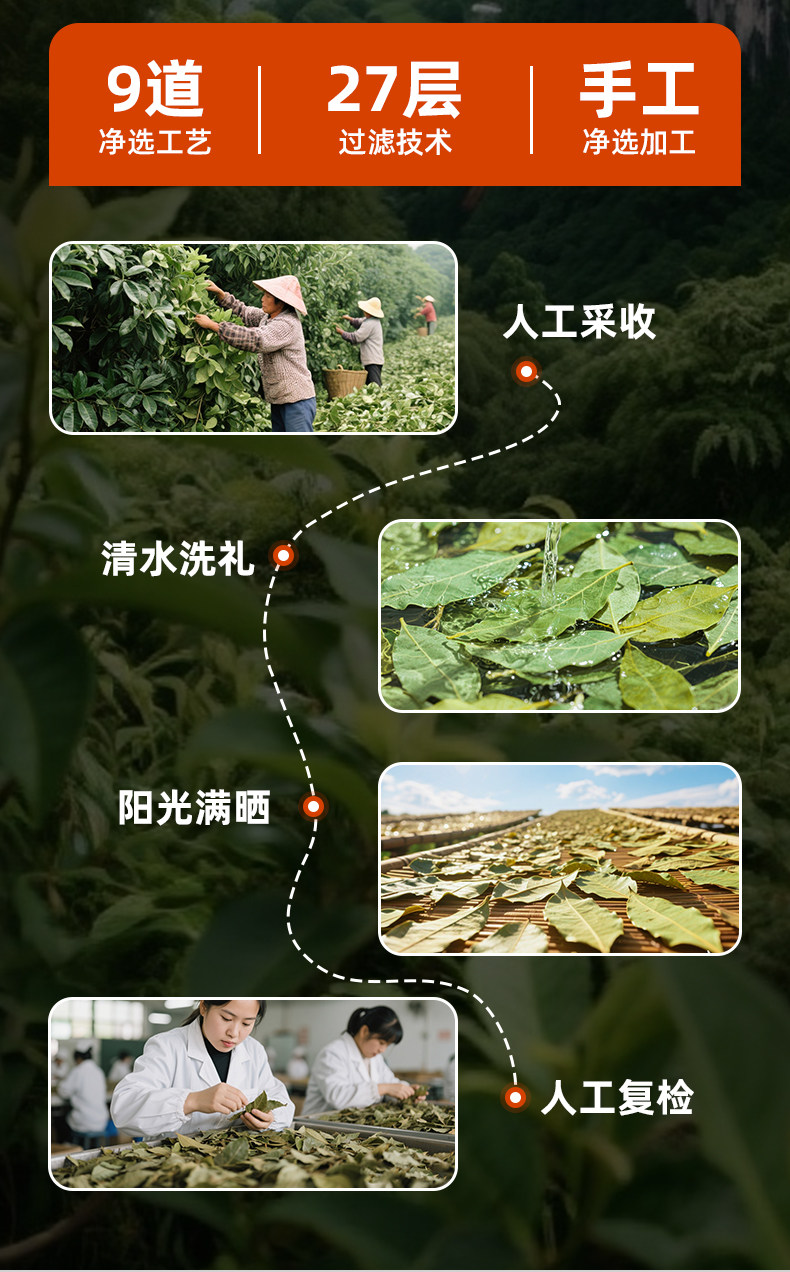 安享好物 安享B级香叶-弘仕吉香叶 国标 