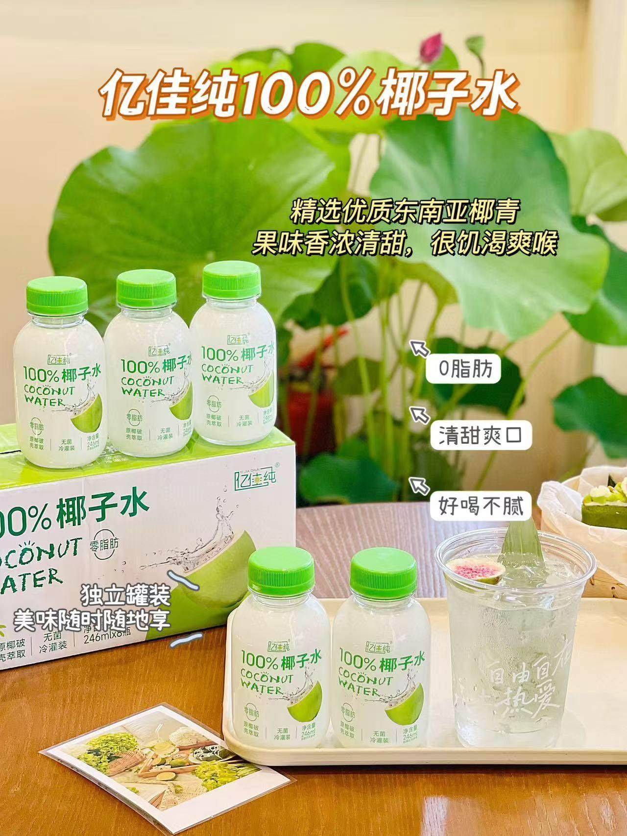 Yijia Pure 100% Coconut Water, Healthy, 0 Fat, Suitable for Pregnant Women, Special Price, Direct from the Manufacturer, Electrolyte Coconut Water