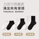 Мужские носки, демисезонные цветные гольфы, средней длины