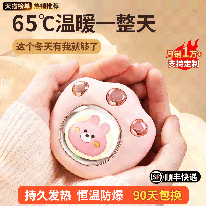 Cat Paw Warm Hand Baby Holding Style 2023 New Girl Warm Baby Birthday Gift Mini Carry-on Cute Cute-Taobao