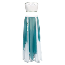 Classical dance costumes Chinese style elegant dance costumes for women new exotic Dunhuang flying costumes