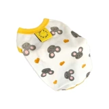 Летний замок, осенний жилет, домашний питомец, кот