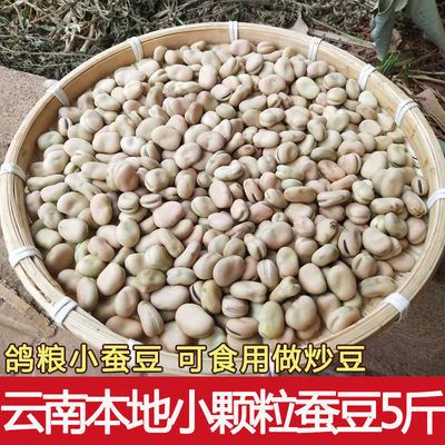 New goods Yunnan farmhouse small silkworm bean dry cargo pigeon with dove grain raw Hu bean small grain 5 catty pigeon feed special-Taobao