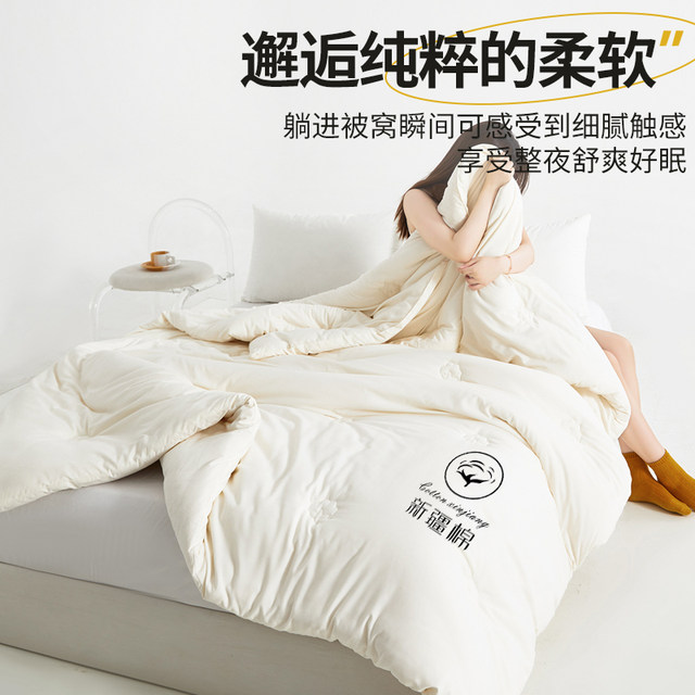 Xinjiang pure cotton quilt winter quilt core thickened cotton students dormitory single spring and autumn quilt quilt air-conditioned quilt summer cool quilt