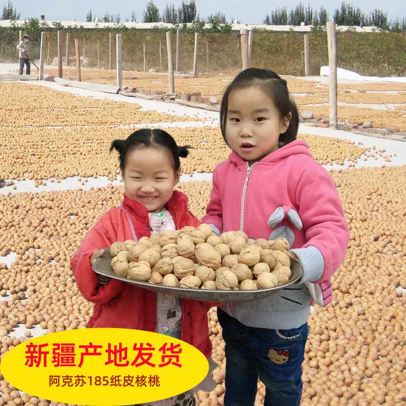 Xinjiang Aksu Wen 185 Paper-Skinned Walnuts, Thin-Skinned, Hand-Peeled, 2025 New Crop, Original Flavor, 2.5kg Packs, Snack Nuts