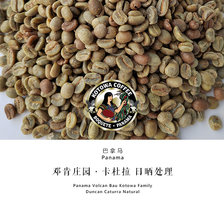 パナマ産ダンカン・エステート・コトワ・カトゥーラ・コーヒー豆（天日乾燥）