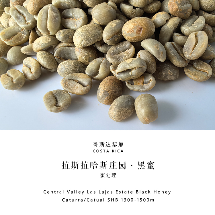 Coffee Green Beans Costa Rica Las Lajas Estate Black Honey Coffee Green Beans Costa Rica Las Lajas Estate Black Honey
