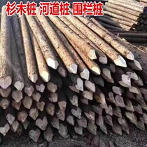 Construction site river pine pile timber log piling wood river flood control bank protection project construction pine pile fir pile