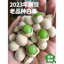 White Fruits Fresh Gingko Fruits 2023 New Goods Yunnan TenChong Gingko Village Ancient Trees Old Varieties Sticky Glutinous 500g