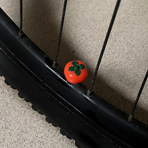 Shishi Ruyi motorcycle tire valve cap metal valve dust cap creative motorcycle vacuum valve core