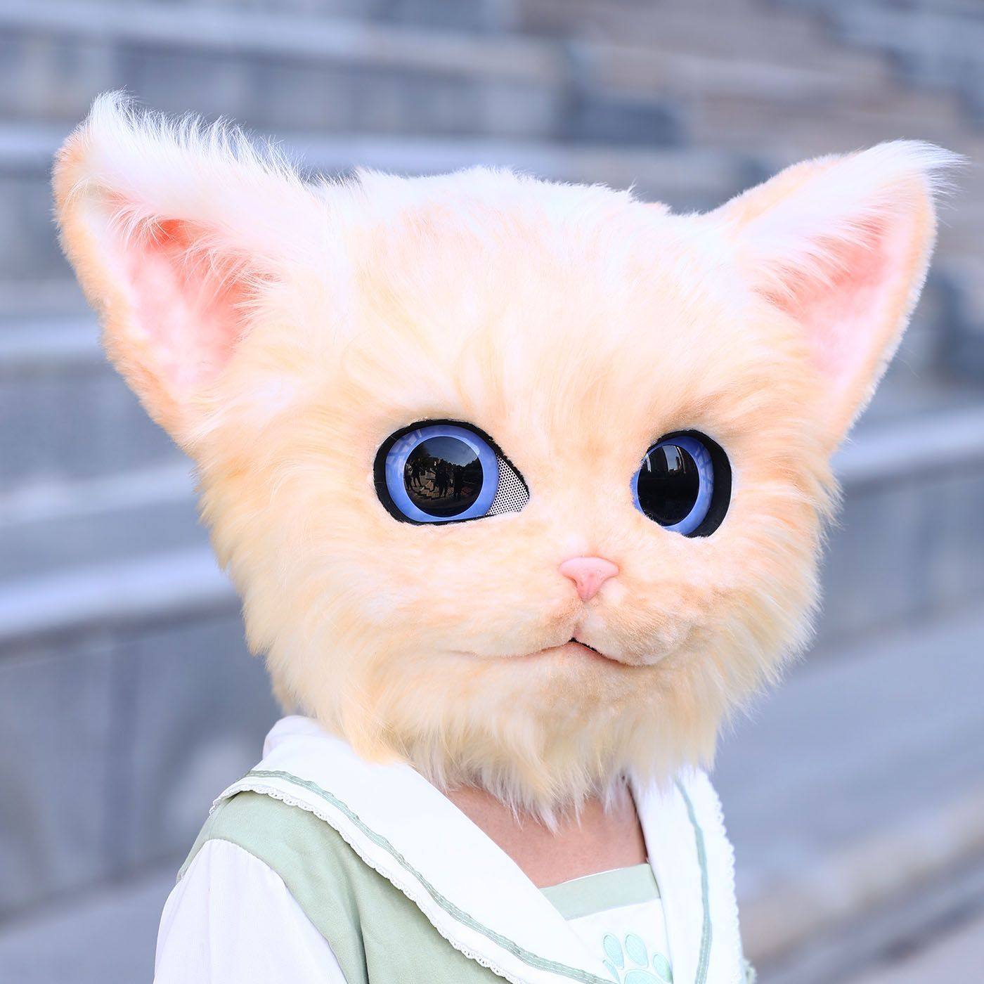 猫武士动画即将上映: r/WarriorCats, image size:1400x1400