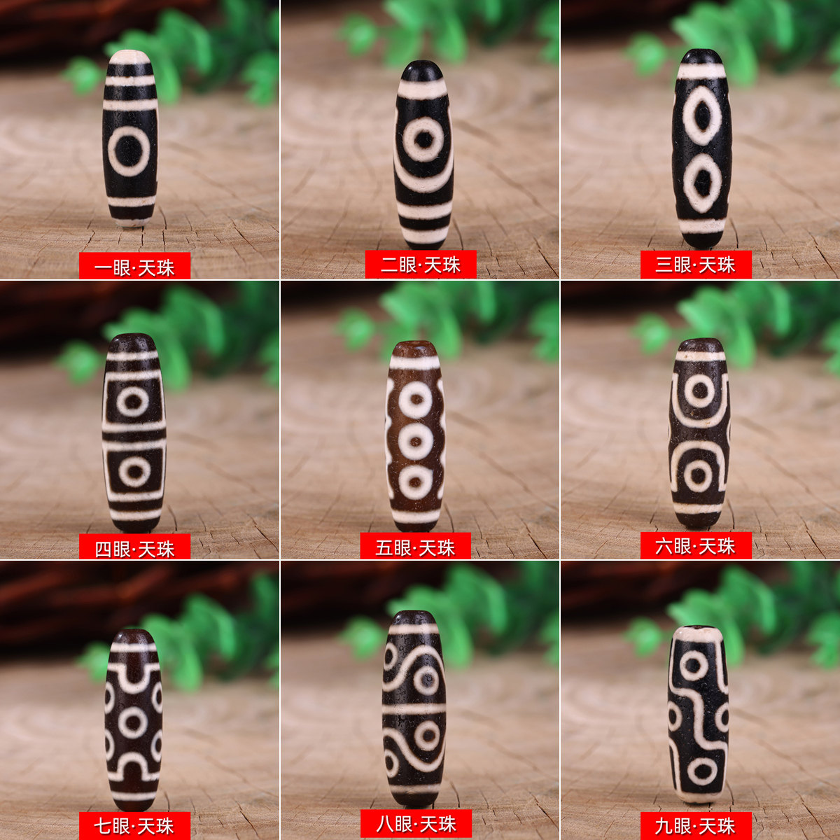 八眼天珠 三色天珠 【公式通販】