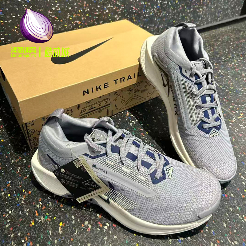 Nike Pegasus Trail 5 Gore-Tex Gray Outdoor Trail Running Shoes Fq0908-006