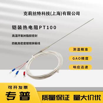 Flexible pt100/e/j/t/k type armored thermocouple wrnk-191 temperature sensor probe