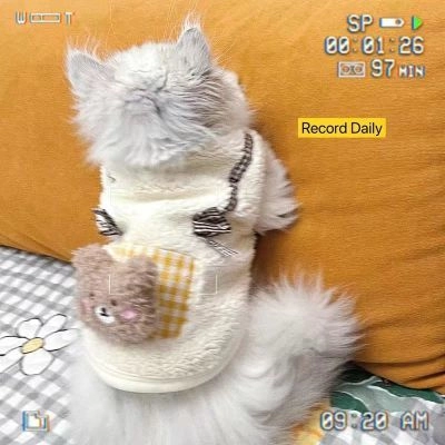 Кошачья одежда Милый медведь Толстовка Собаки Осень и Зимние теплые руля