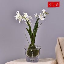 Flower Craftsman Leaf Orchid with Bulb Vanda Orchid Modern Dining Table Coffee Table Bathroom Decoration Simulated Flower Orchid
