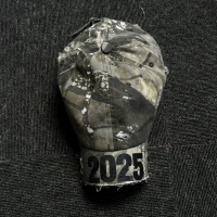 2025YE