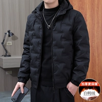 886 【Регулярная модель】 Черная