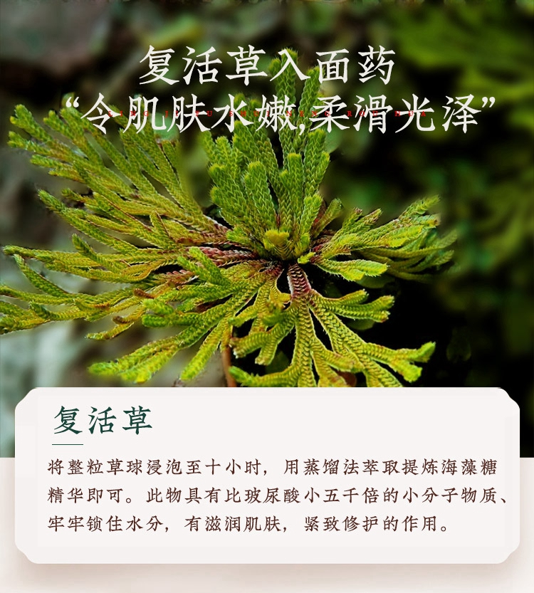 手机详情图15.jpg