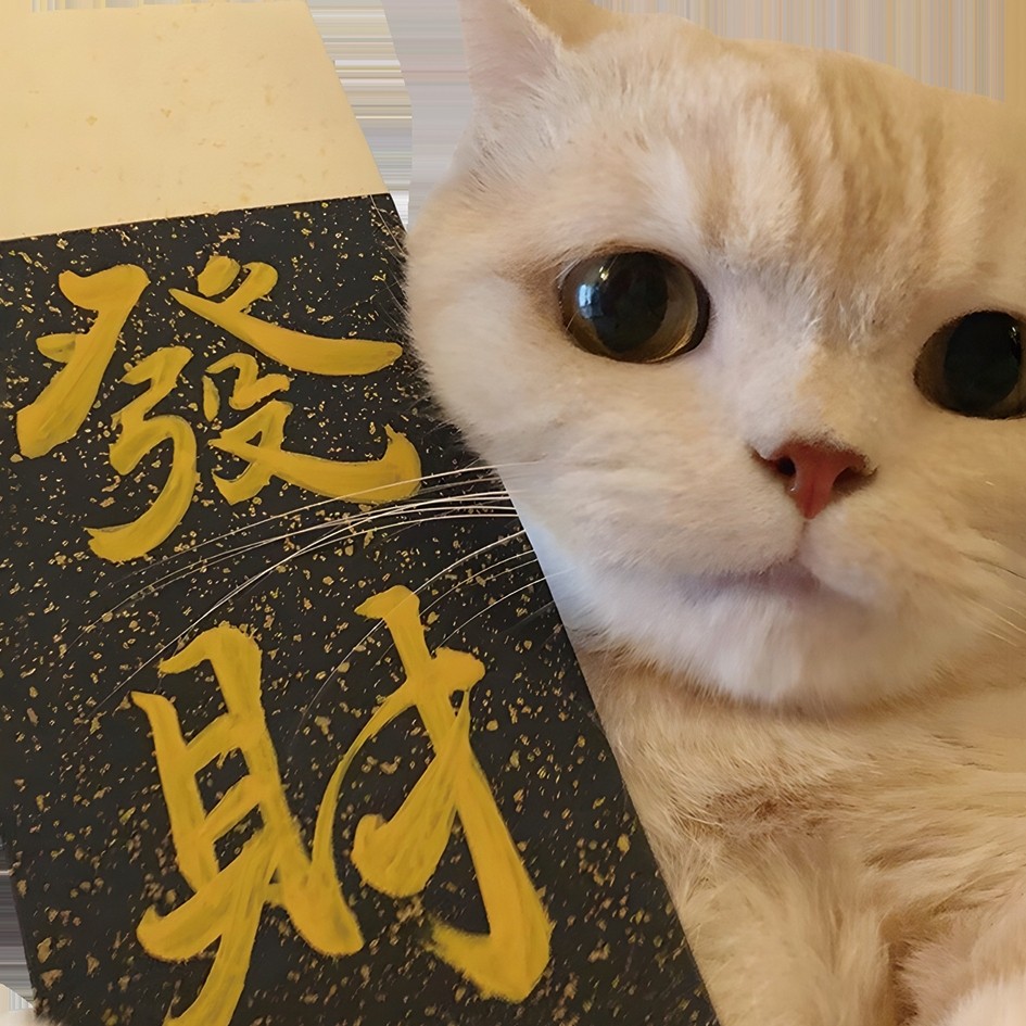巧壳力实验室