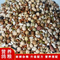 Shanxi new pigeon grain without corn dove grain nutrient feed bird food letter pigeon viewing dove young pigeon to be dove grain