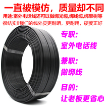 Outdoor telephone line 2 core old hard core telephone line tensile binding wire tie cable tie fruit tree sunburn