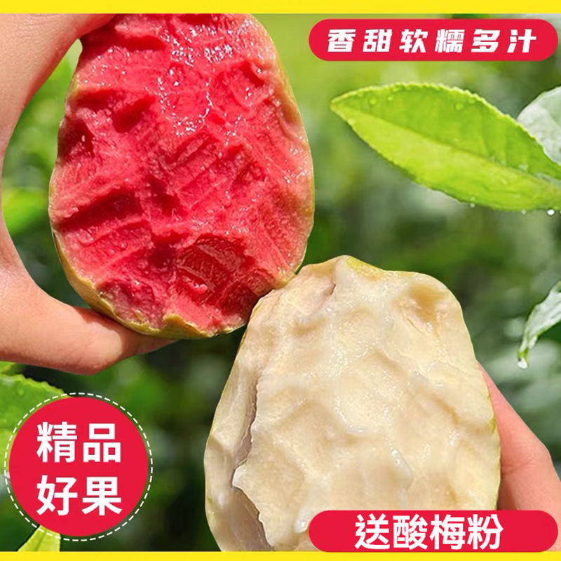 芭乐臻选阁的LOGO