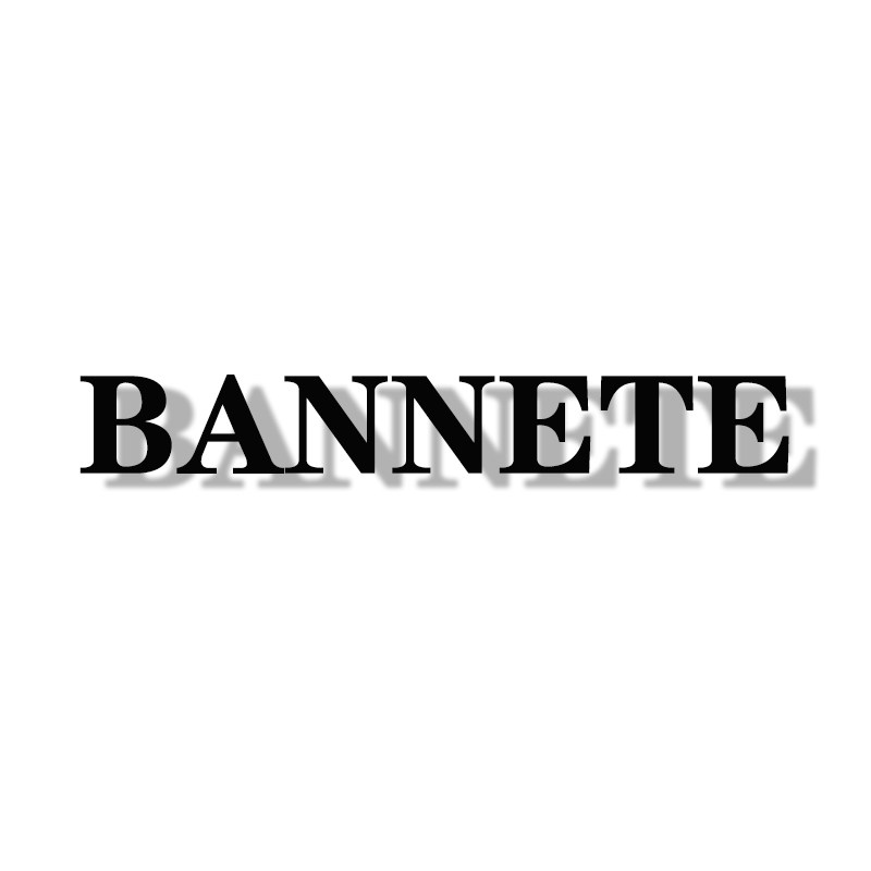BANNETE数码
