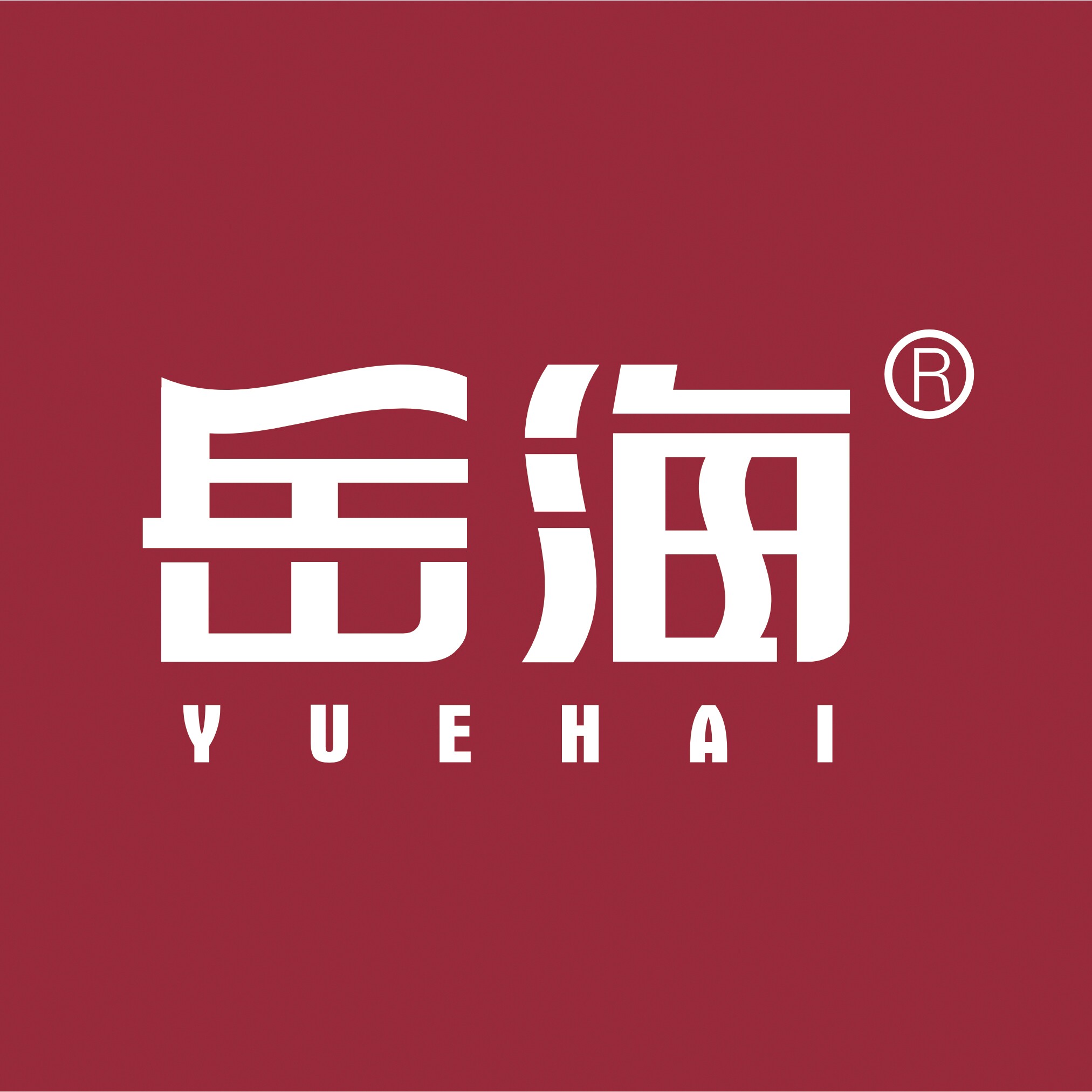 岳海旗舰店