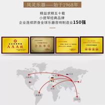 Feng Ling cello full-imported European material pure handmade solid wood professional in class test class playing musical instrument C28