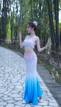 Song Perney Dai ethnic clothing female adult dance dress peacock dance performance Ethnic dance performance The fish tail dress rehearsal work