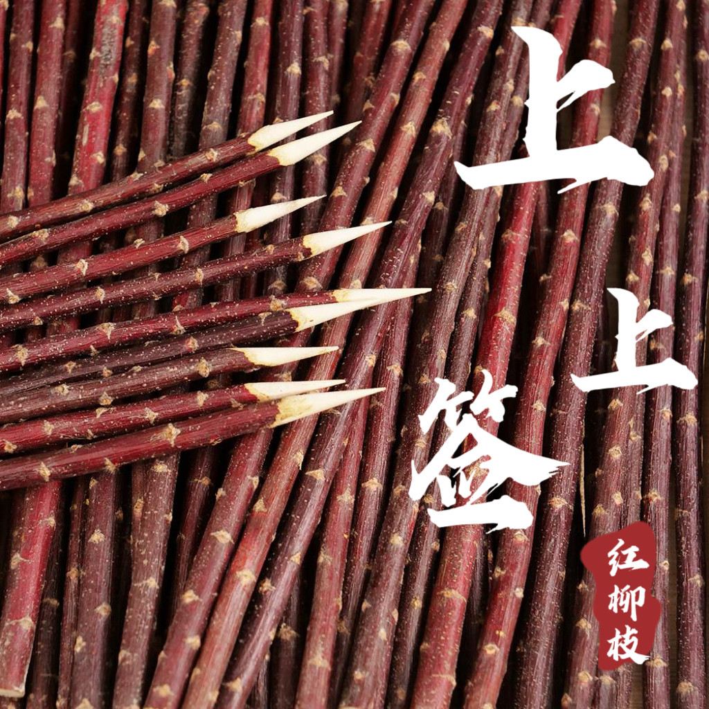 上上签红柳枝的LOGO