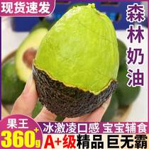 Big Mac Premium 15-pack Yunnan Avocado Fresh Fruit Avocado Hass Big Fruit Seasonal Box 9